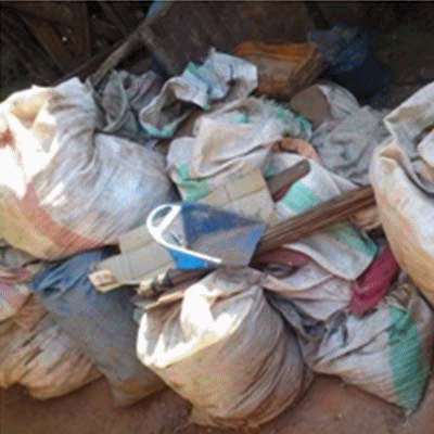 Helminth Eggs and Protozoan Parasite Oocysts in Pig Manure in Urban and Peri-Urban Areas of Morogoro Municipality, Tanzania